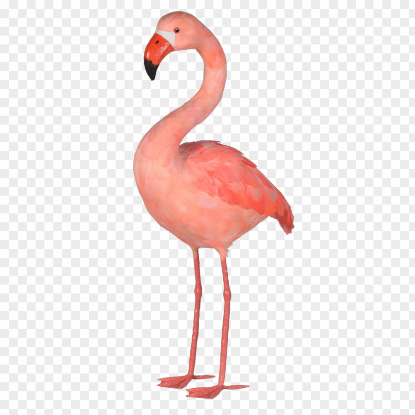 Pink Flamingo Plastic Interior Design Services Art PNG