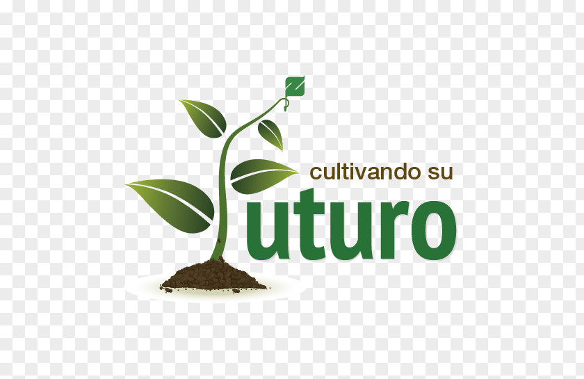 Cultivation Culture Logo Font Brand Product PNG