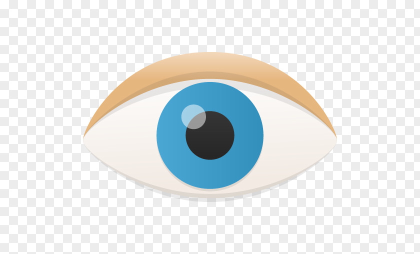 Eye Human Visual Perception System PNG