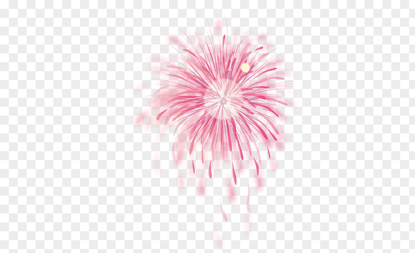 Fireworks Pink Adobe PNG