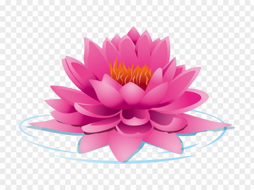 Flower Nelumbo Nucifera Lotus Cars Clip Art PNG