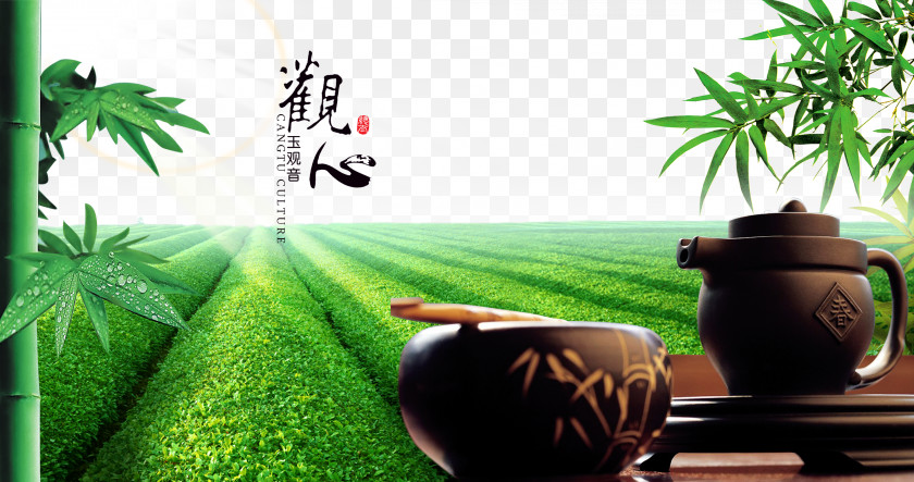 Green Tea Bamboo Poster Material Tieguanyin The Classic Of Advertising PNG