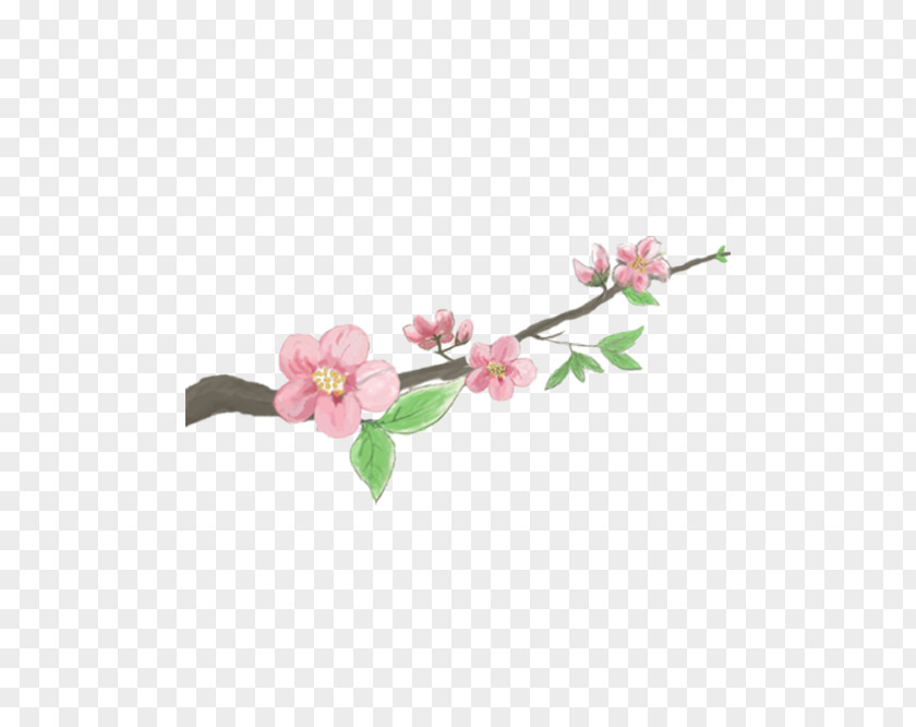 Memory Peach Blossom Cherry PNG