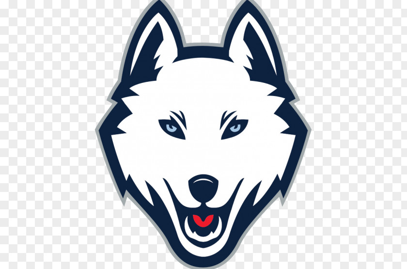 Arctic Wolf Logo University Of Connecticut Huskies Women's Basketball Men's Baseball Ice Hockey PNG