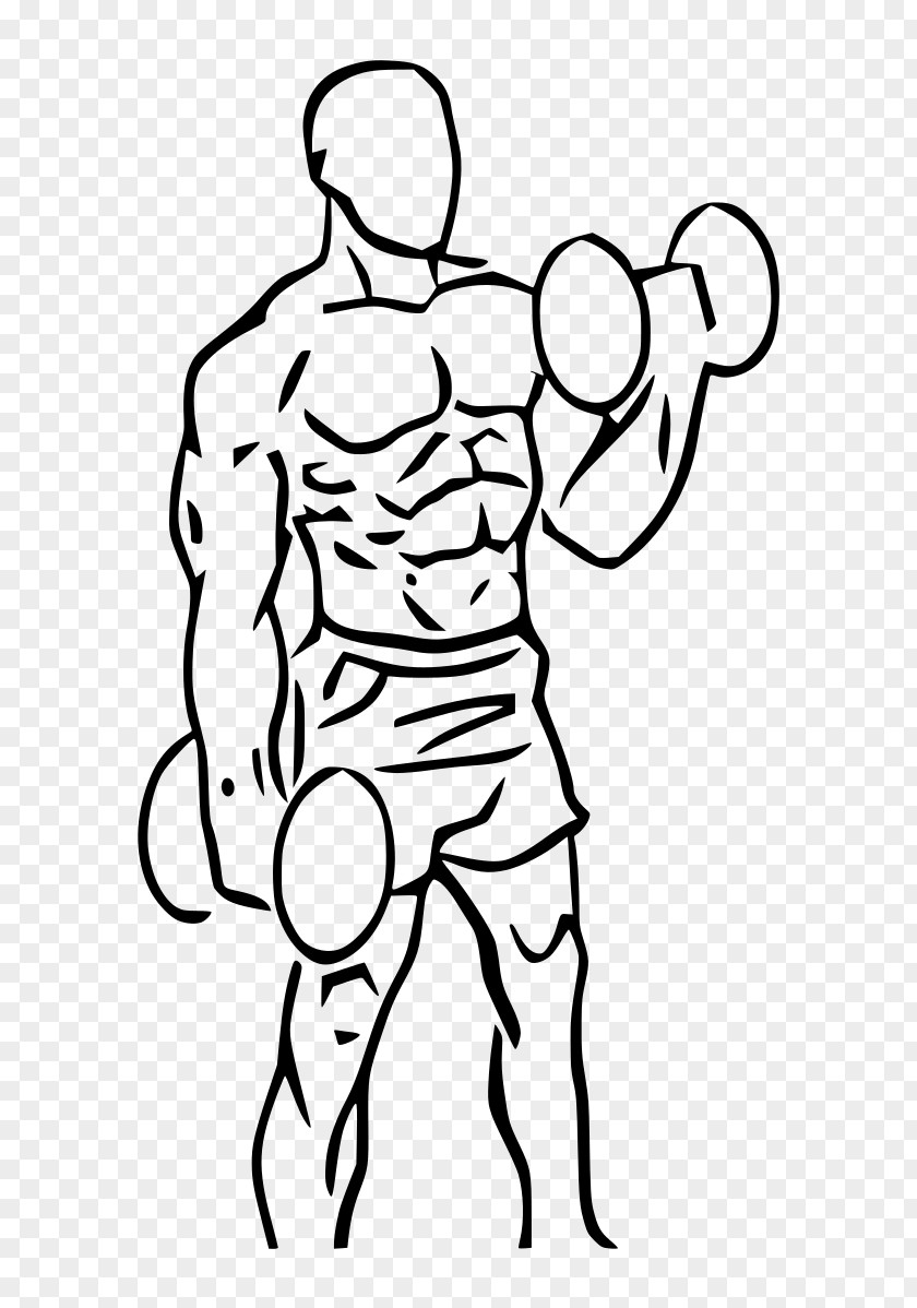 Dumbbell Biceps Curl Exercise Weight Training PNG