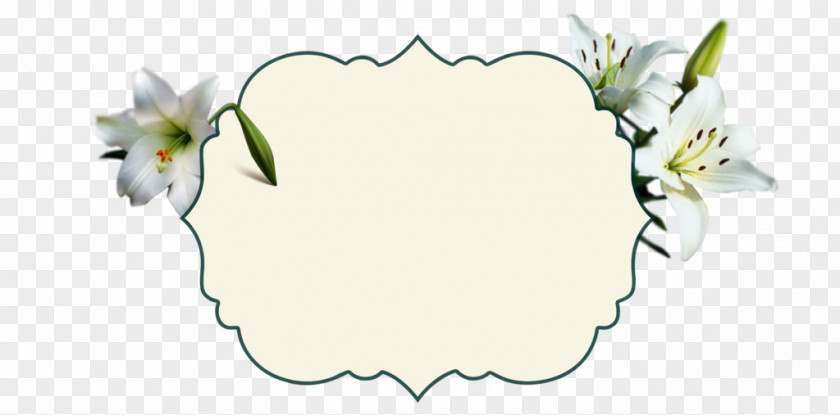 Easter Lily Clipart Border Floral Design Rose Family Cut Flowers PNG