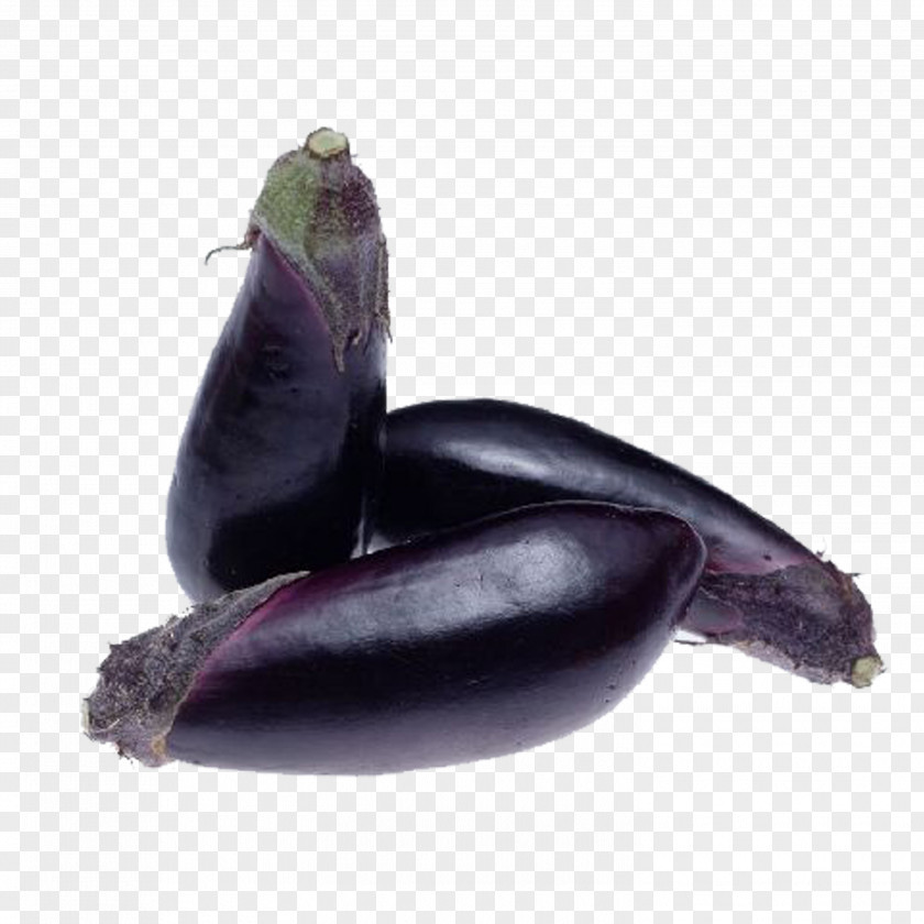 Eggplant Miso Soup Vegetable Beefsteak Plant Fruit PNG
