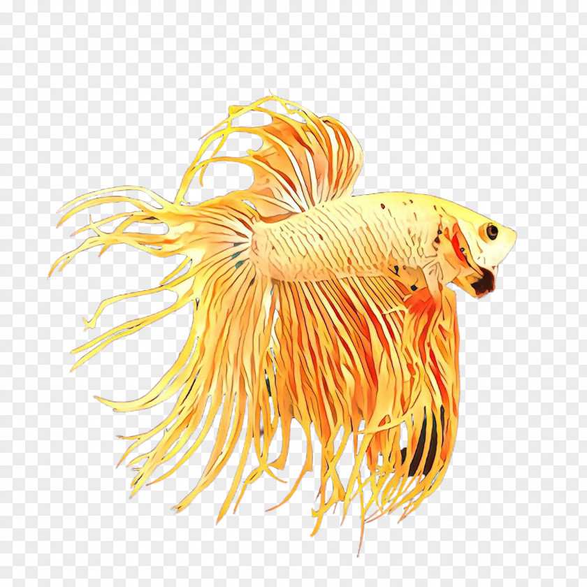 Fish Tail PNG