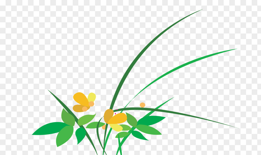 Hand-painted Plants Flower Drawing PNG