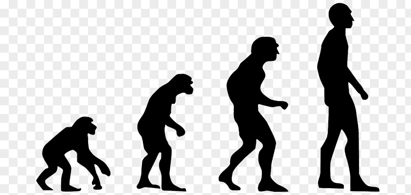 Homo Sapiens Ape Human Evolution 2.0: Breaking The Deadlock Between Darwin And Design PNG