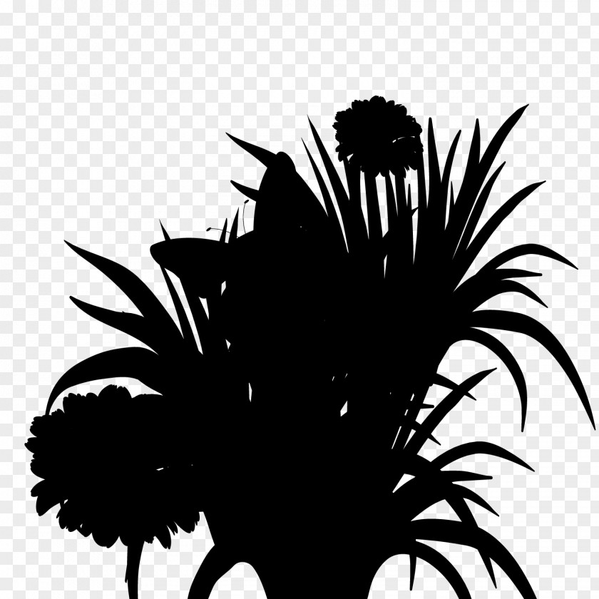 M Desktop Wallpaper Font Silhouette Palm Trees Black & White PNG