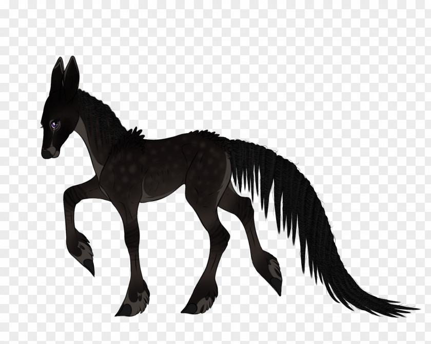 Mustang Mule Foal Stallion Colt PNG