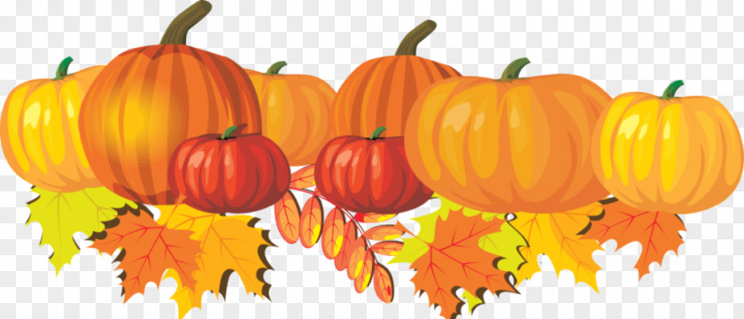 Pumpkin Clip Art Field Openclipart Free Content PNG