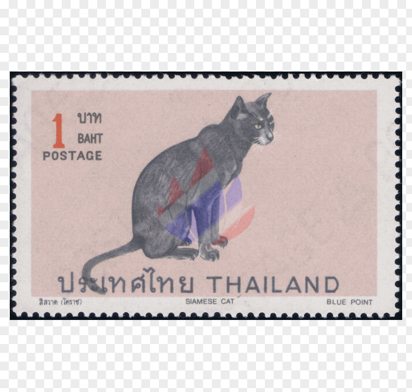 Siamese Cat Thai Balinese Wildcat American Shorthair PNG