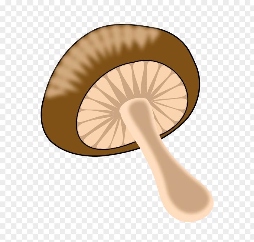 Toadstool Clipart Edible Mushroom Common Fungus Clip Art PNG