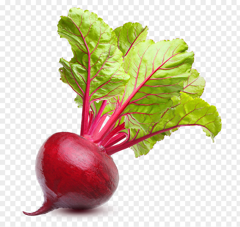 Vegetable Organic Food Beetroot Stock Photography Sugar Beet PNG