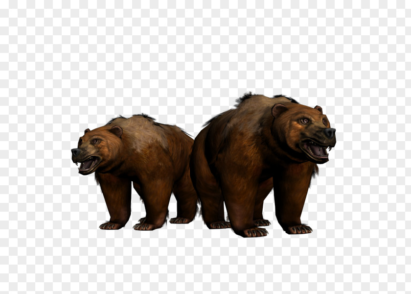 Bear Grizzly Alaska Peninsula Brown Terrestrial Animal Wildlife PNG