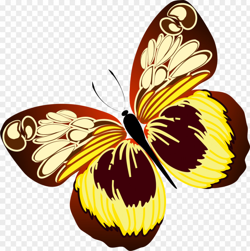 Butterfly Monarch Insect Pollinator Clip Art PNG