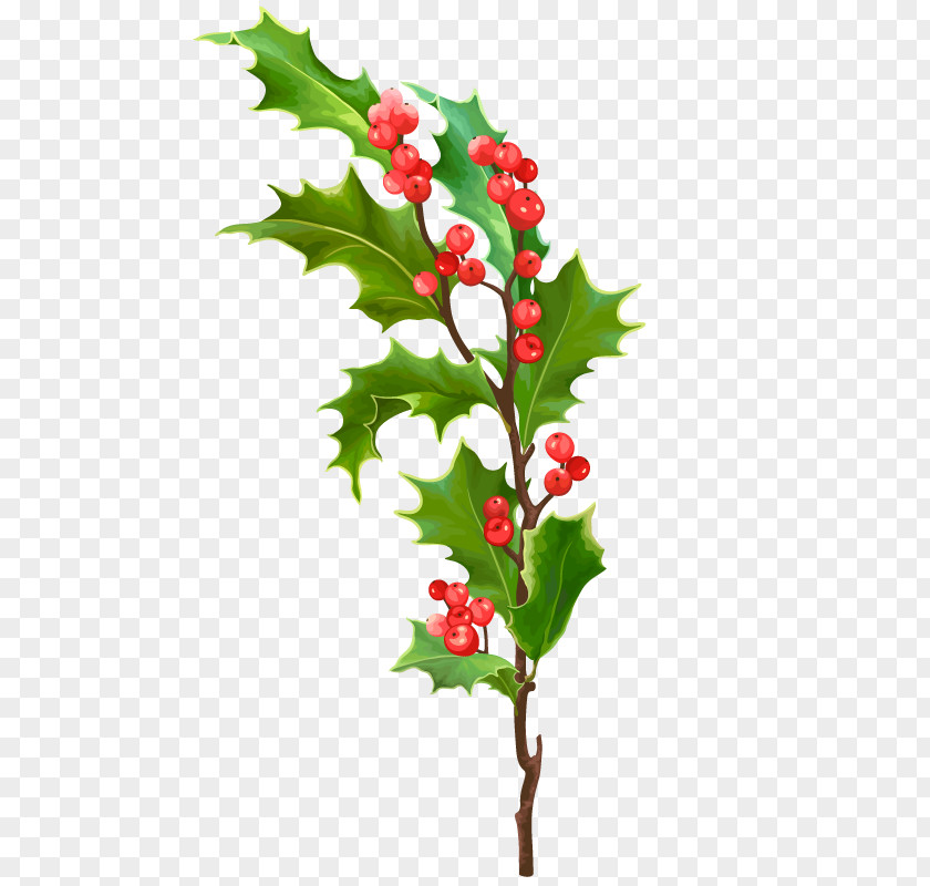 Christmas Tree Vector Art Leaf Holly PNG