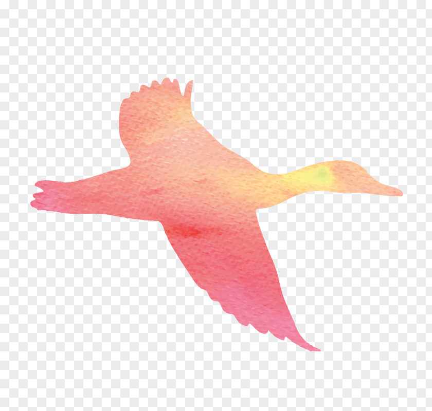 Flying Bird Vector Graphics Image Silhouette Cygnini PNG