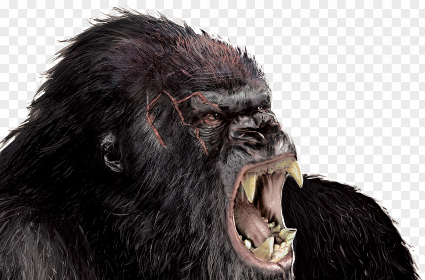 Gorilla Transparent Image Hollywood King Kong Godzilla Rodan Film PNG