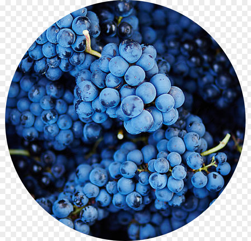 Grape Common Vine Author Wine Zante Currant PNG