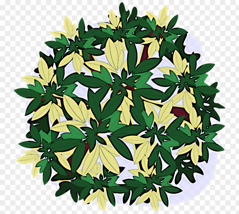 Plant Flower Leaf PNG