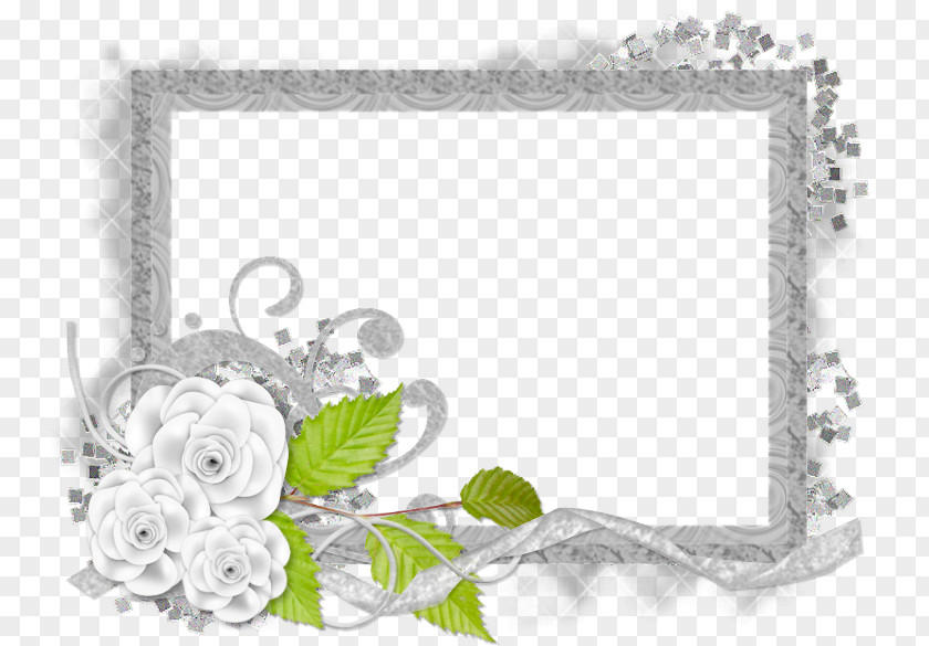 Silver Frame Cut Flowers Floral Design Floristry Rose PNG