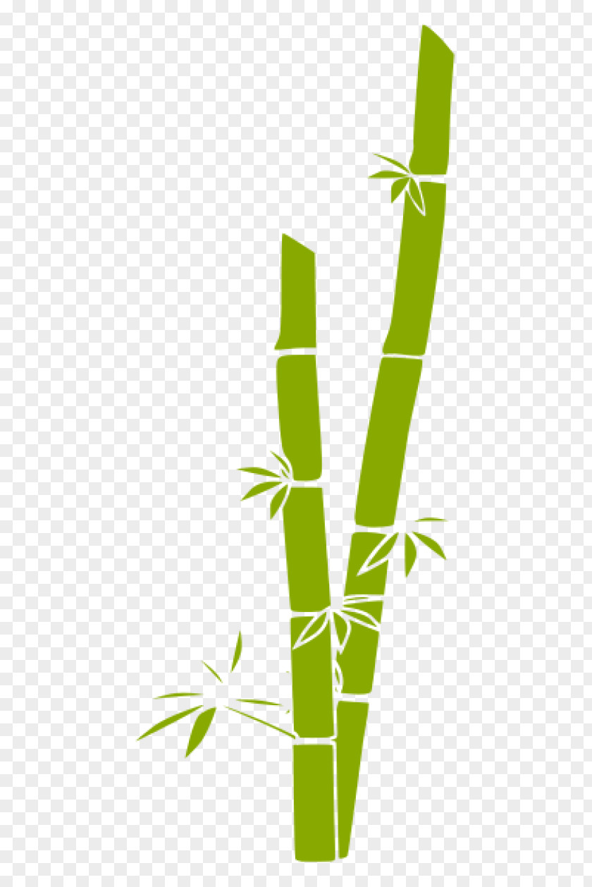 Bamboo Grasses Clip Art PNG