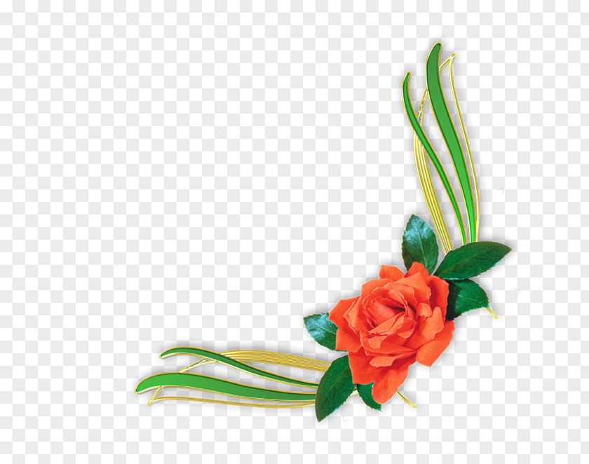 Flower Border Floral Design Rose Clip Art PNG