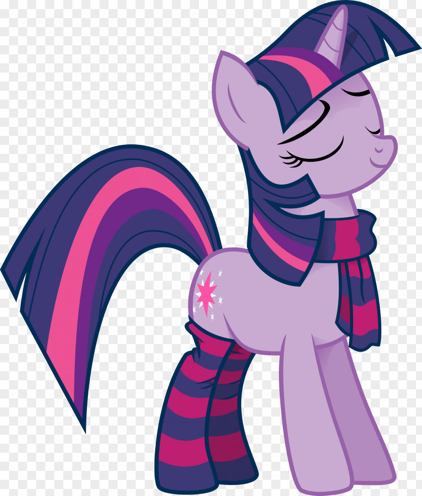 Horse Pony Twilight Sparkle Rainbow Dash Derpy Hooves PNG
