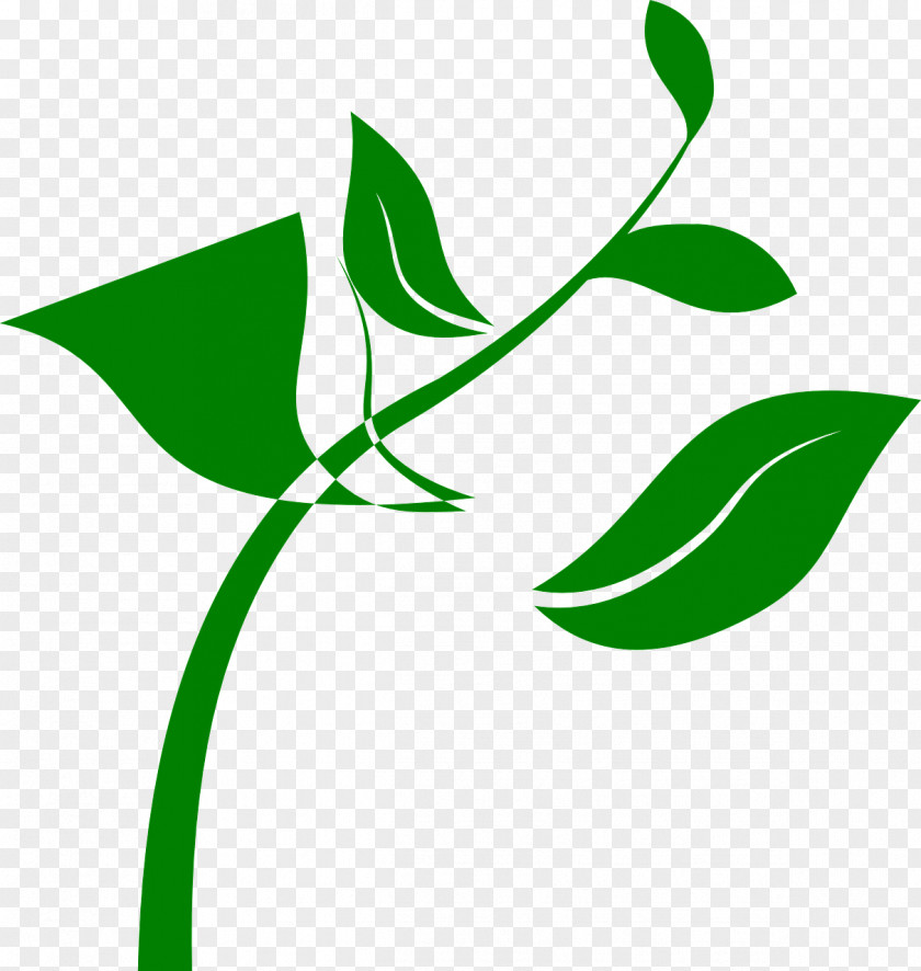 Plant Seedling Clip Art PNG