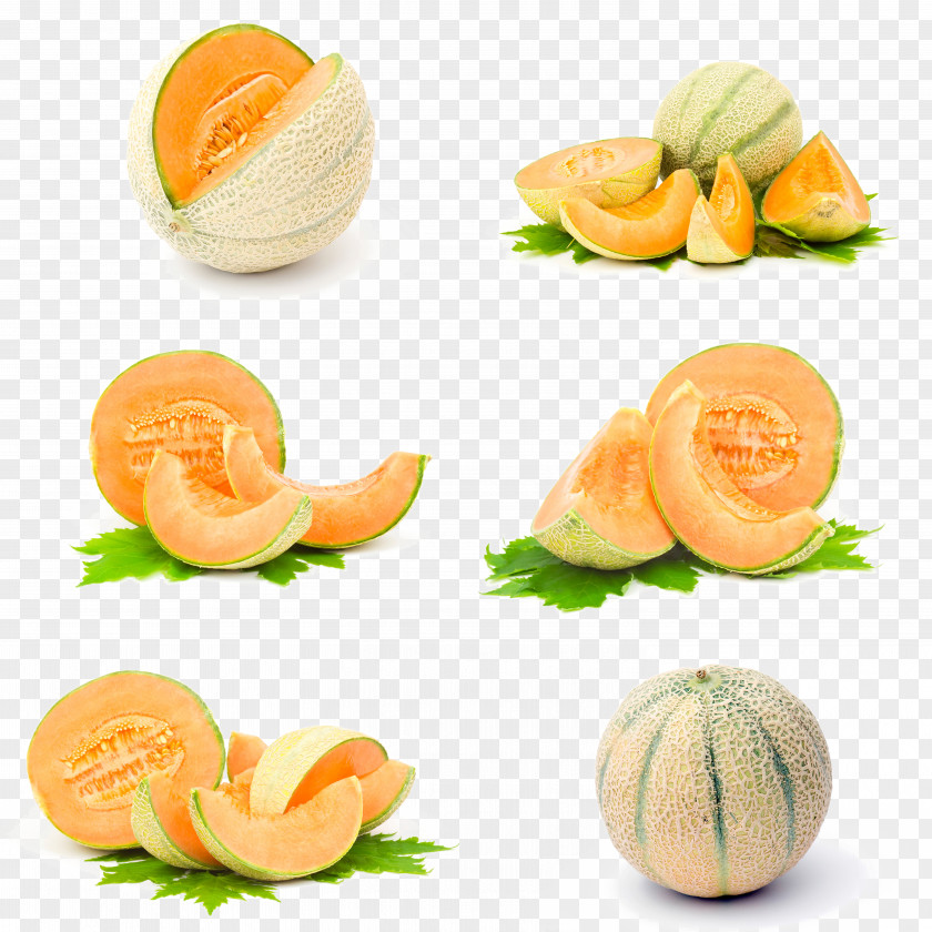 Six Different Forms Of Melon Hami Honeydew Galia Santa Claus Cantaloupe PNG