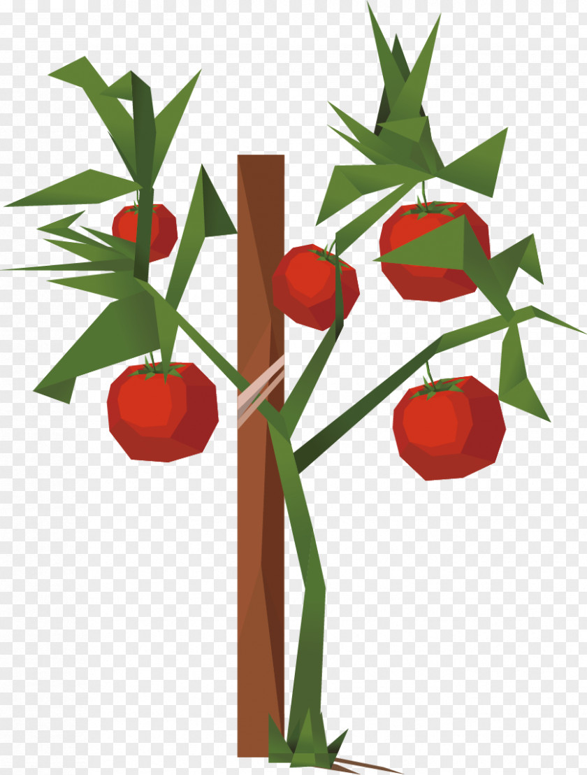 Apple Creative Cartoon Tomato Clip Art PNG