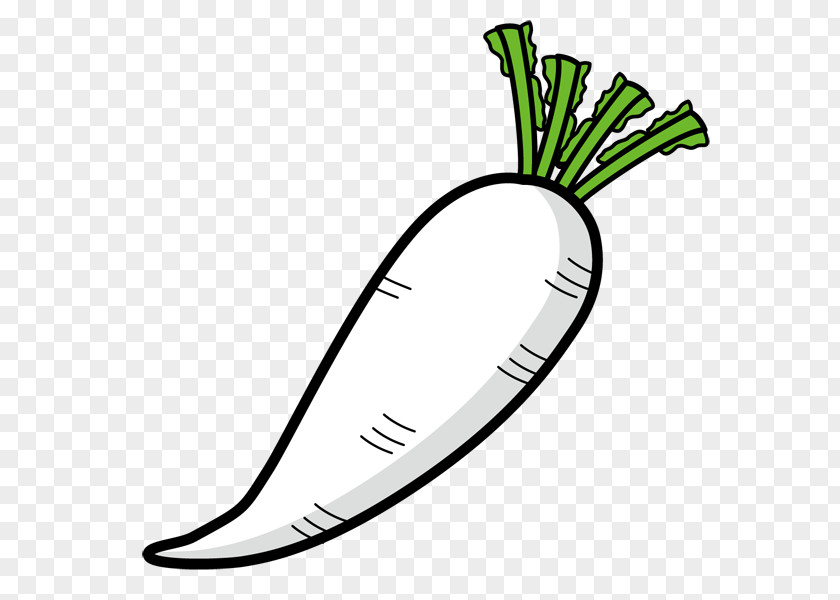 Badminton Daikon Food Debel Clip Art PNG