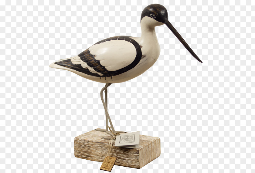 Bird Seabird Beak Sculpture PNG