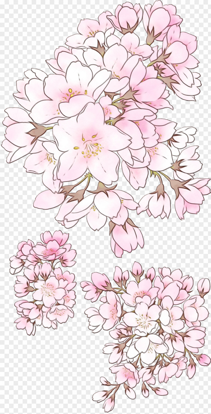 Bouquet Pedicel Cherry Blossom Flower PNG