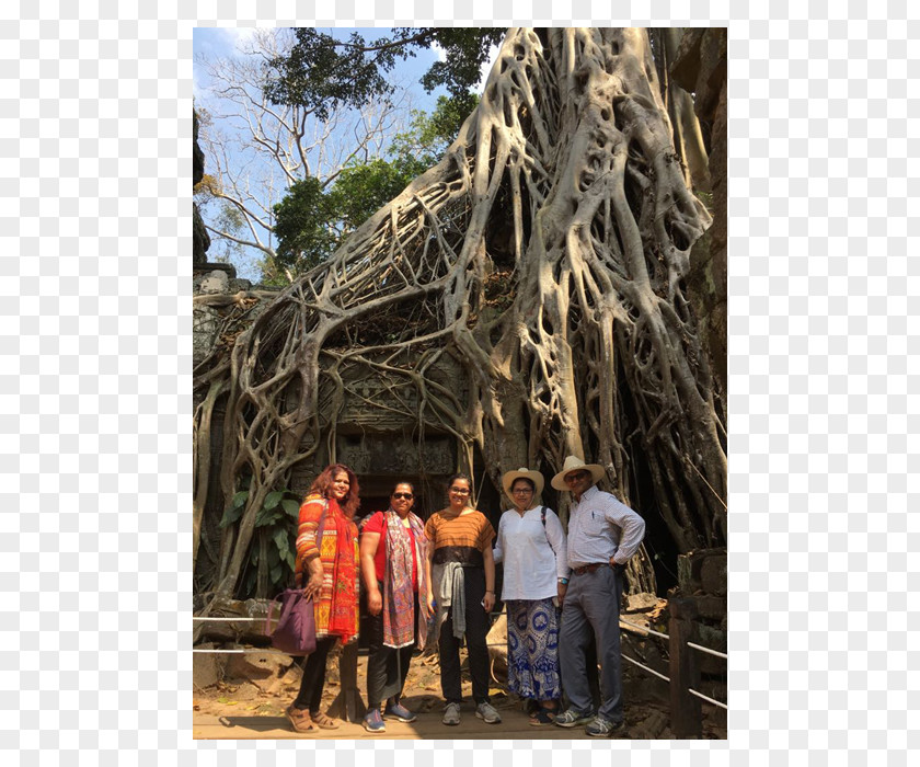 Cambodia Royal Palace Ta Prohm Angkor World Heritage Site UNESCO Cultural PNG