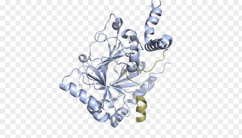 Homo Sapiens HIF1A PAS Domain Aryl Hydrocarbon Receptor Nuclear Translocator Protein PNG