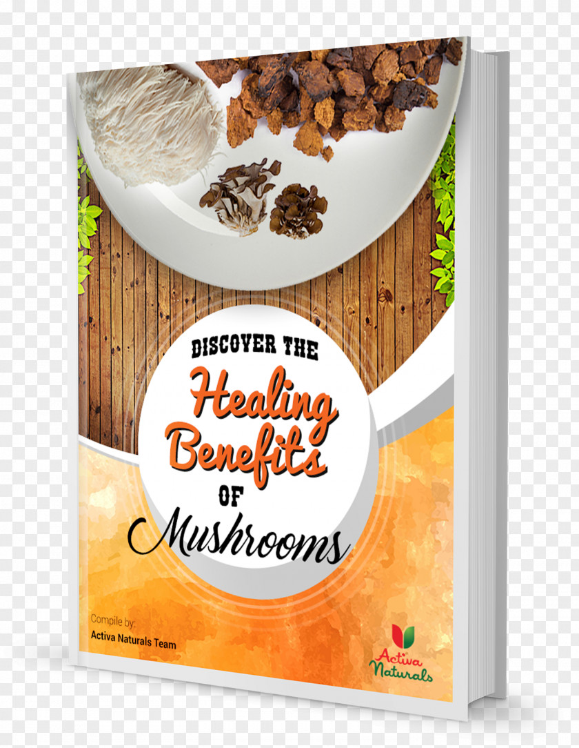 Natural Ingredients Superfood Dietary Supplement Health Vitamin Chaga Mushroom PNG