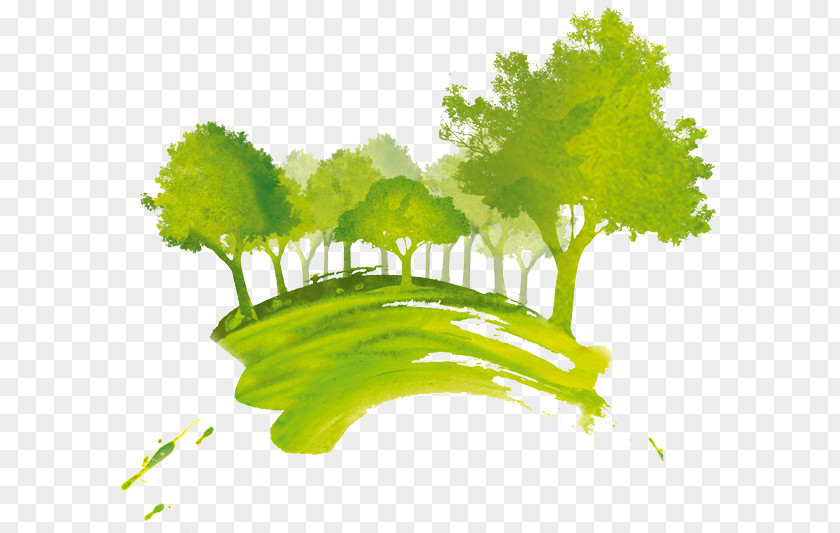 Paperless Office Environmentally Friendly Company Texas Green Gardens Natural Environment PNG