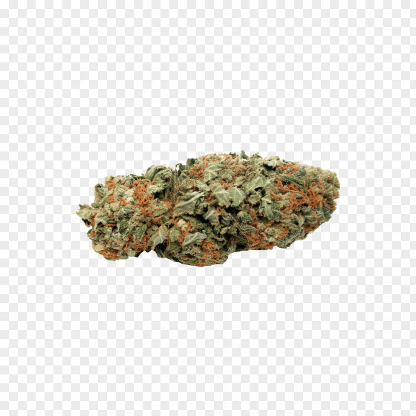 Cannabis Kush Dispensary Shop Medical PNG