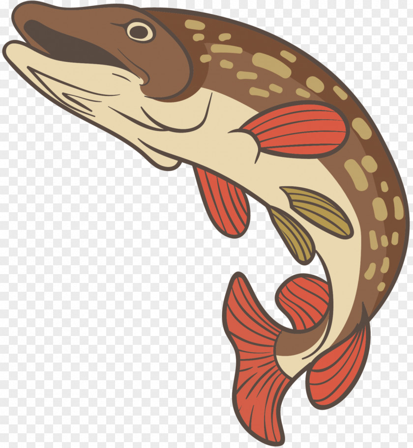 Clip Art Illustration Fish Fauna PNG