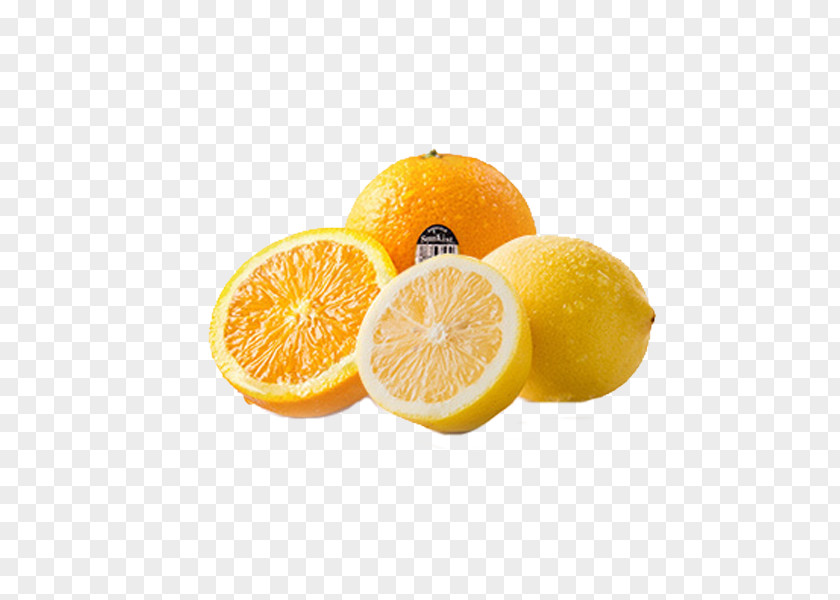 Four Yellow Lemon Clementine Rangpur PNG