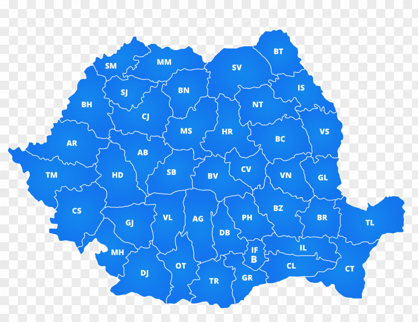 Map Hungarian People's Party Of Transylvania Romanian Local Elections, 2016 PNG