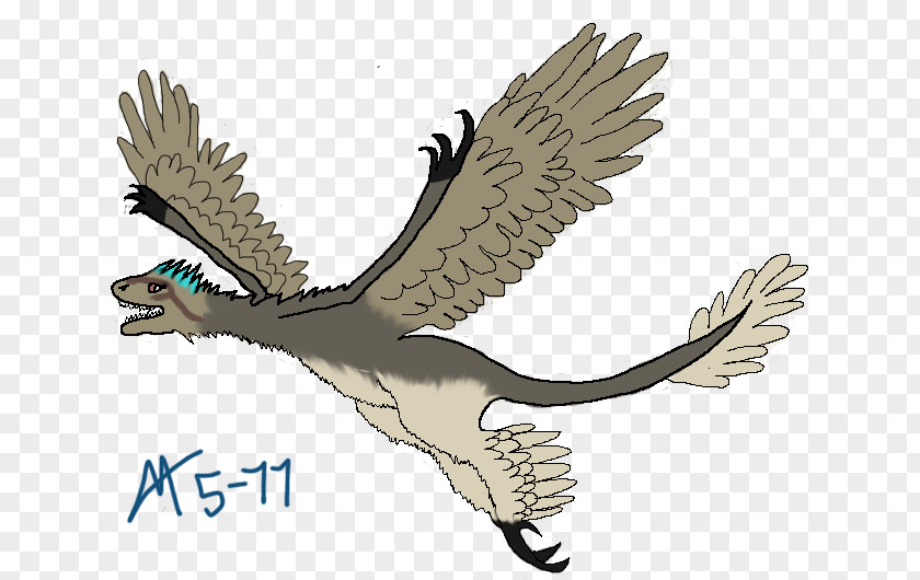Owl Hawk Cartoon Fauna Eagle PNG