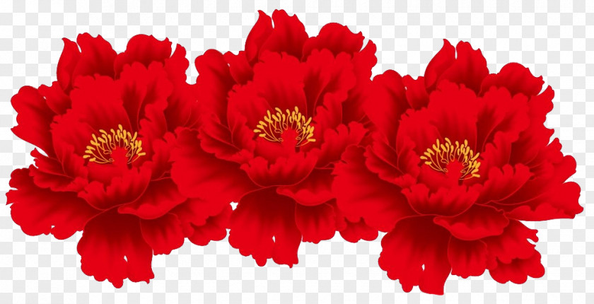 Red Peony Flowers Floral Design Flower Drawing Dessin Animxe9 PNG