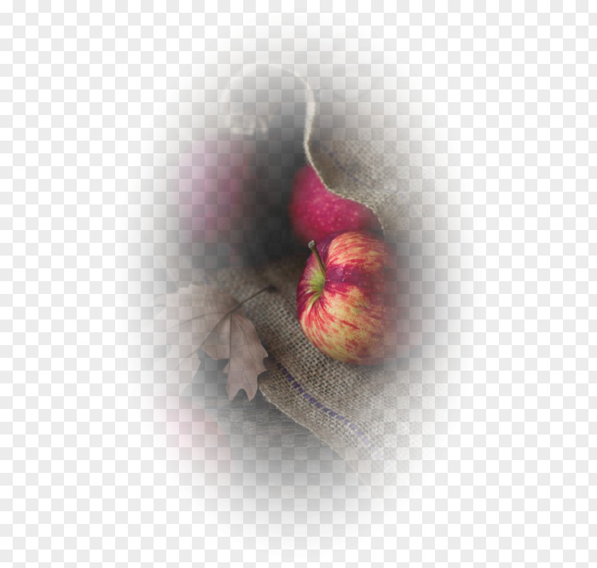 Autumn Landscape Painting Desktop Wallpaper PNG
