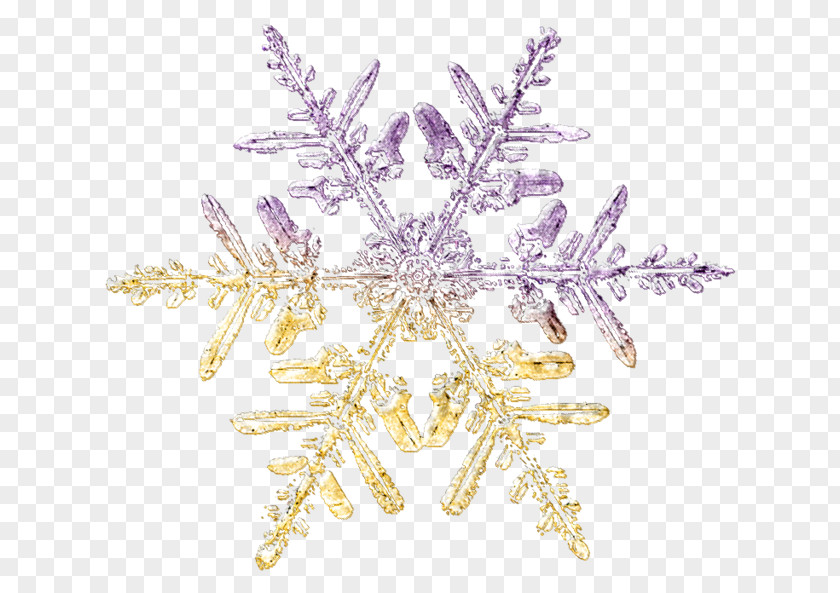 Brooch Purple Snowflake Twig PNG