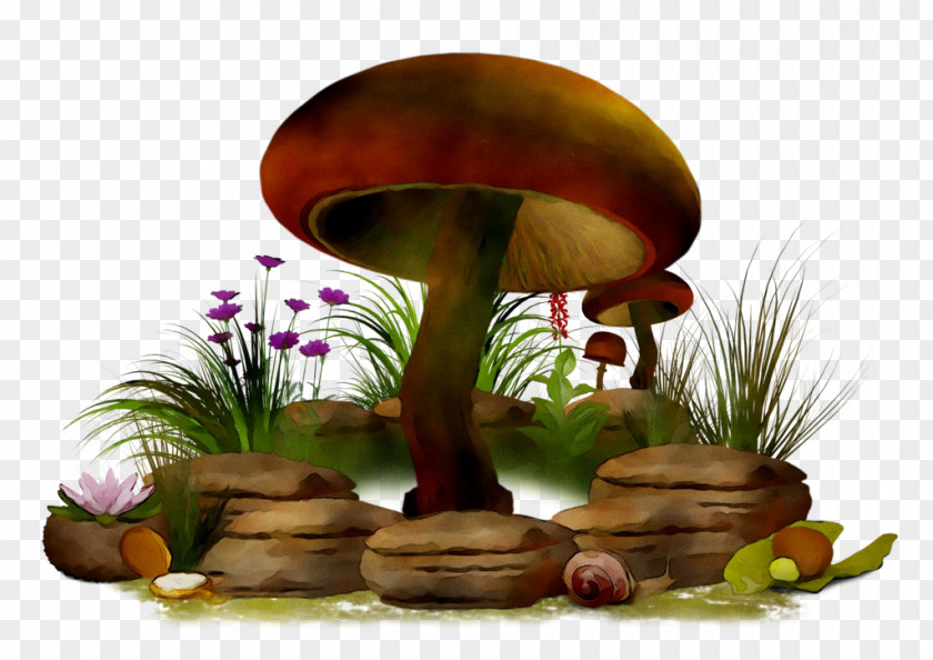 Clip Art Mushroom Image Fungus PNG